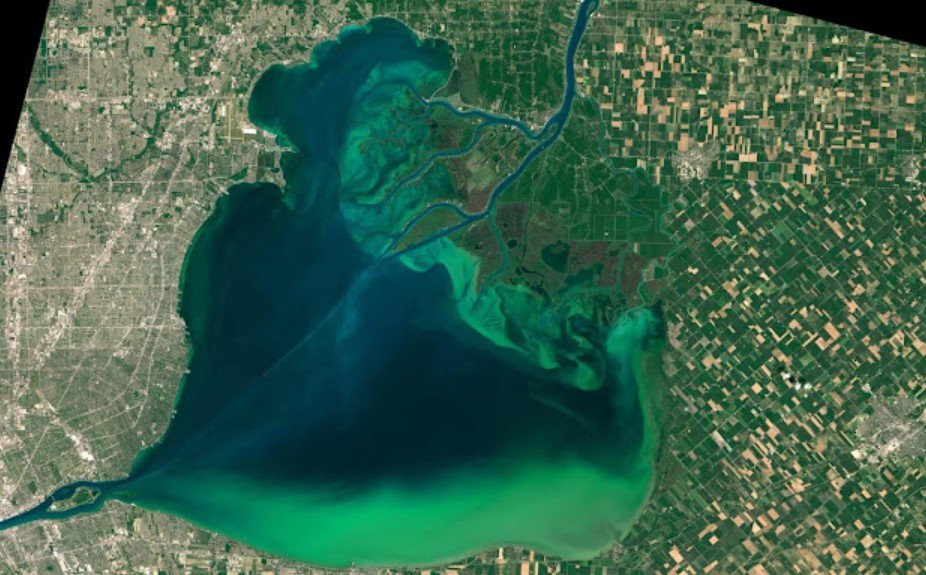 Algal Alert: The Invisible Danger in Serene Waters