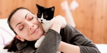 Cat Lovers Rally to Save Kitten’s Life: A Heartwarming Tale
