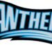 Panthers’ Team Effort Triumphs Over Cochranton’s Late Surge