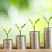 Banking on a Greener Future: The Rise of Transition Finance