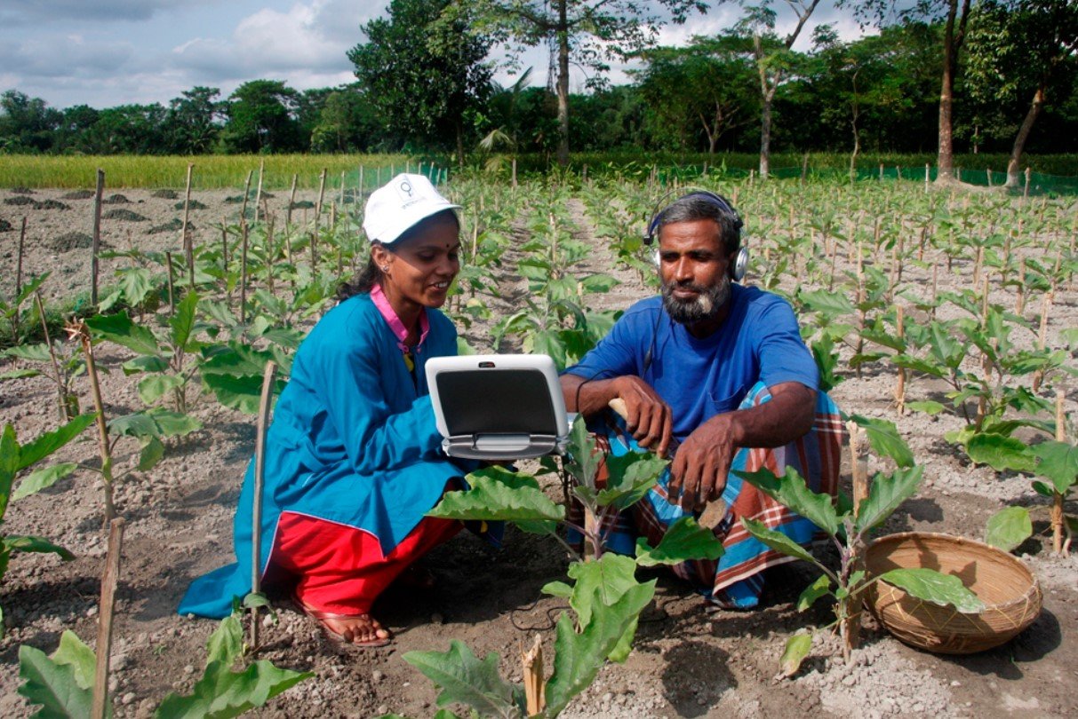 Digital Multimedia: A Catalyst for Agricultural Green Technology Adoption