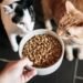FSA Assesses Raw Pet Food Risk to Animals and People