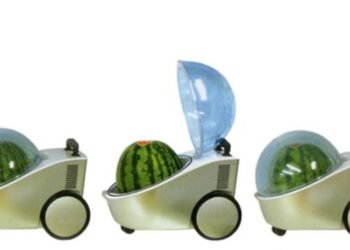 innovative watermelon kitchen gadgets