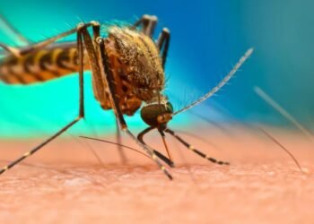 new malaria vaccine production challenges distribution issues