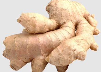 Ginger, a common spice