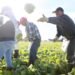 CSIRO Trials Validate Food Recycle’s Technology to Turn Commercial Food Waste into Animal Feed