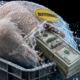 Butterball $34 million turkey antitrust settlement wholesalers
