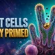 WEHI IBD study gut cells primed to die