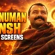 Hanuman Ansh Day 40 box office collection 300 crore